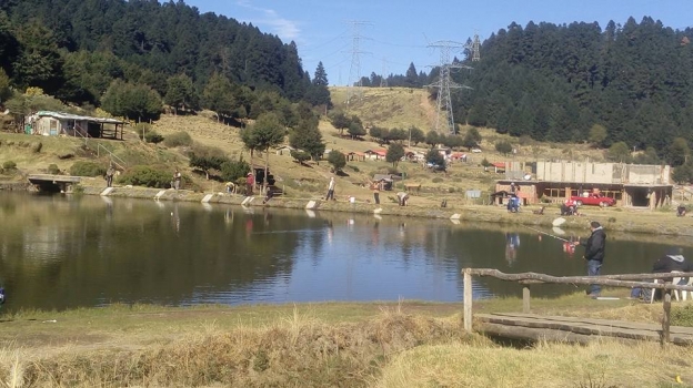 10014612_567444880073157_796189988035503280_n (1).jpg